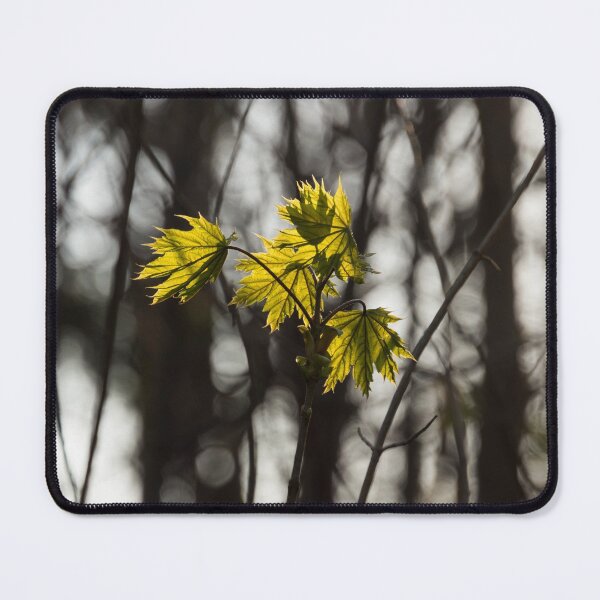 Item preview, Green Spring - First Leaves in the Forest designed and sold by Georgia Mizuleva.