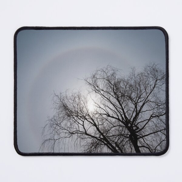 Item preview, Sun Halo, Trees And Silver Gray Winter Sky designed and sold by Georgia Mizuleva.