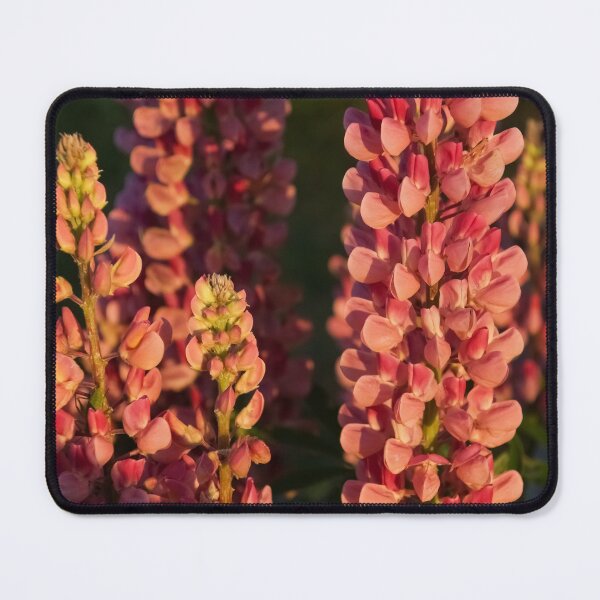 Item preview, Hot Pink Lupines From My Mother's Garden designed and sold by Georgia Mizuleva.