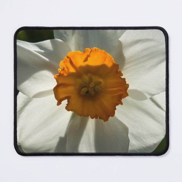 Item preview, Spring Sunshine and Blooms designed and sold by Georgia Mizuleva.