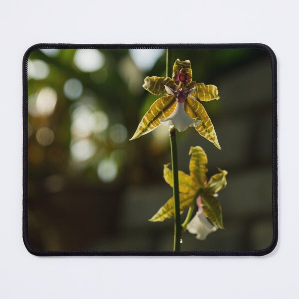 Item preview, Luminous Chain of Orchids designed and sold by Georgia Mizuleva.