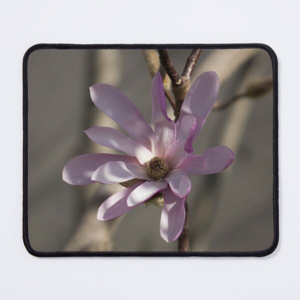 Item preview, Pink Spring - Elegant Magnolia Blossom designed and sold by Georgia Mizuleva.