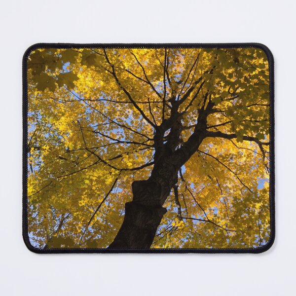 Item preview, Under the Golden Autumn Canopy designed and sold by Georgia Mizuleva.
