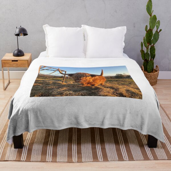 Item preview, Scottish Highland Cattle Cow 3067 designed and sold by SaarelaHighland.