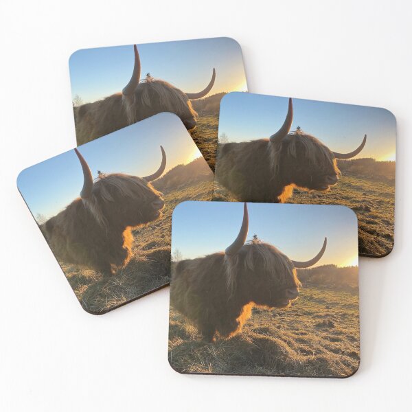 Item preview, Scottish Highland Cattle Cow 3068 designed and sold by SaarelaHighland.