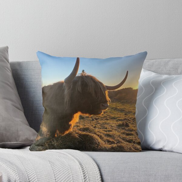 Artikelvorschau, Scottish Highland Cattle Cow 3068 entworfen und verkauft von SaarelaHighland.