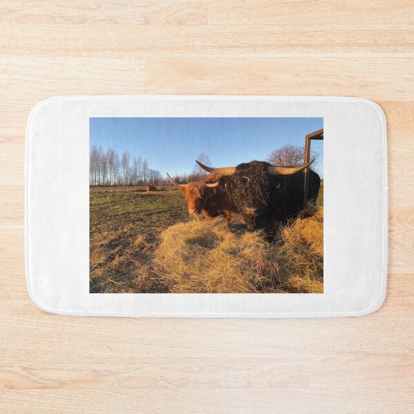 Item preview, Scottish Highland Cattle Cow and Bull 3070 designed and sold by SaarelaHighland.