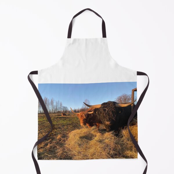 Item preview, Scottish Highland Cattle Cow and Bull 3070 designed and sold by SaarelaHighland.