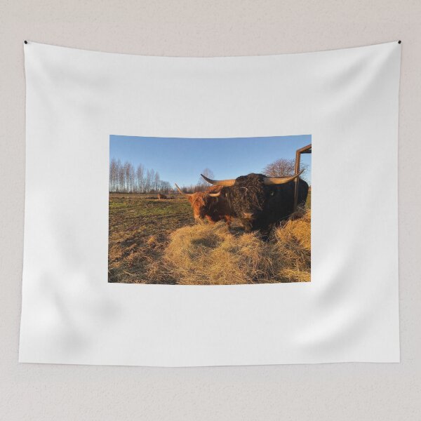 Item preview, Scottish Highland Cattle Cow and Bull 3070 designed and sold by SaarelaHighland.