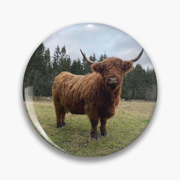 Item preview, Scottish Highland Cattle Cow 3080 designed and sold by SaarelaHighland.