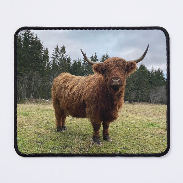 Item preview, Scottish Highland Cattle Cow 3080 designed and sold by SaarelaHighland.