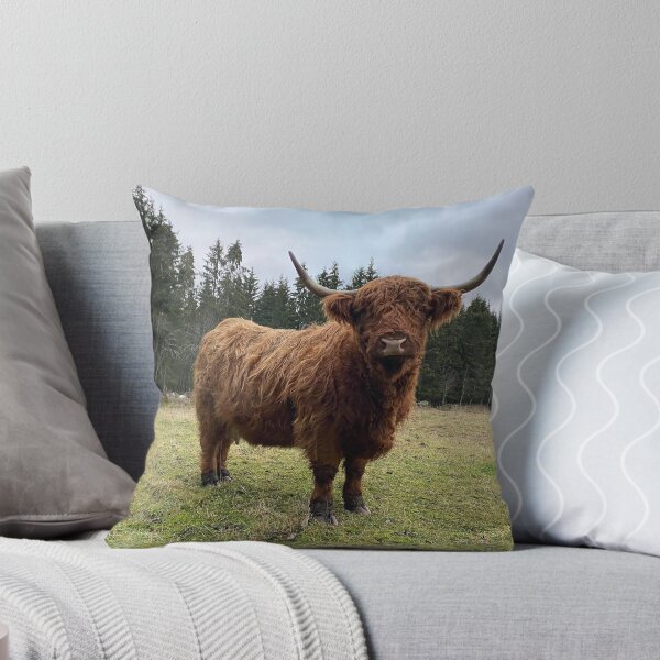 Item preview, Scottish Highland Cattle Cow 3080 designed and sold by SaarelaHighland.