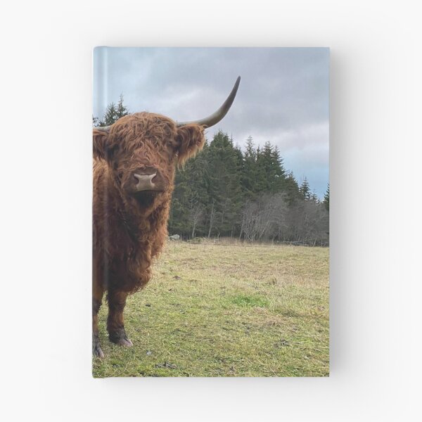 Item preview, Scottish Highland Cattle Cow 3080 designed and sold by SaarelaHighland.