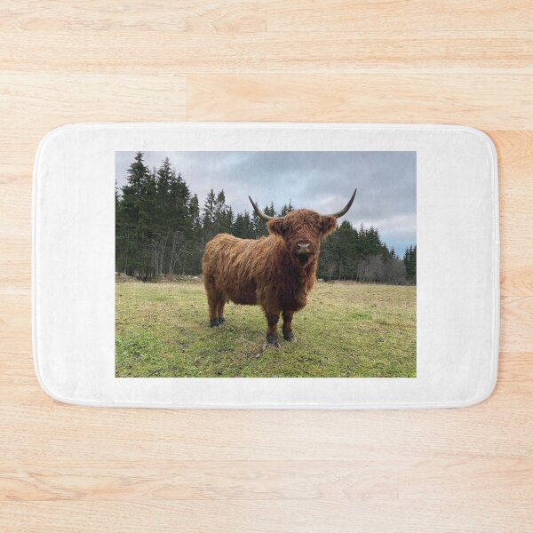 Item preview, Scottish Highland Cattle Cow 3080 designed and sold by SaarelaHighland.