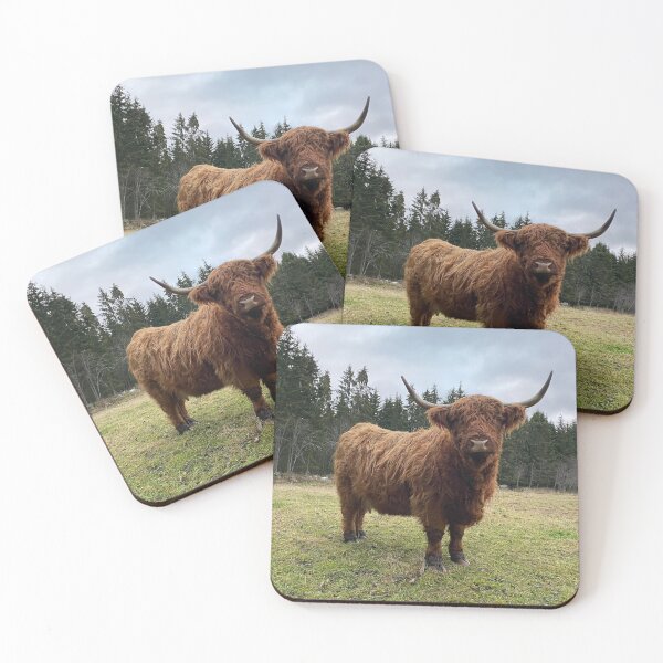 Item preview, Scottish Highland Cattle Cow 3080 designed and sold by SaarelaHighland.