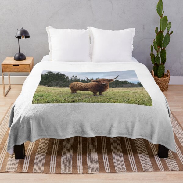 Item preview, Scottish Highland Cattle Cow 3080 designed and sold by SaarelaHighland.