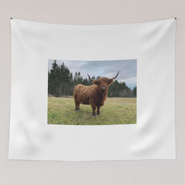 Item preview, Scottish Highland Cattle Cow 3080 designed and sold by SaarelaHighland.