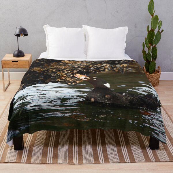 Item preview, Surf Scoter Seaduck Feeding on Mussels at Low Tide designed and sold by walkswithnature.