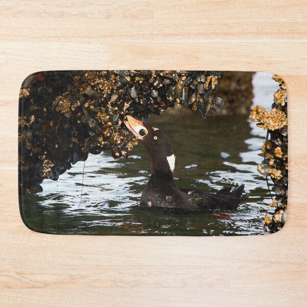 Item preview, Surf Scoter Seaduck Feeding on Mussels at Low Tide designed and sold by walkswithnature.