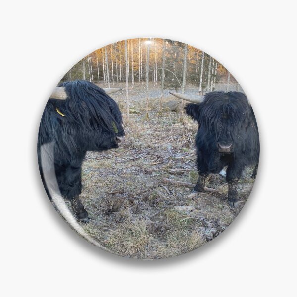 Artikelvorschau, Scottish Highland Cattle Bull Calves 3086 entworfen und verkauft von SaarelaHighland.