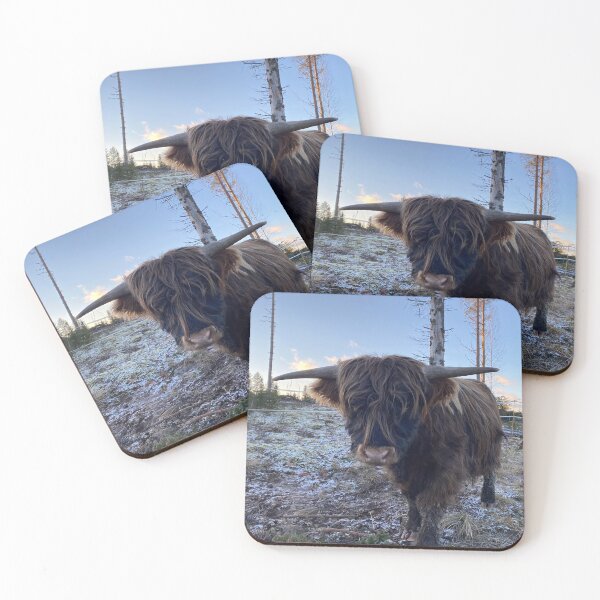 Item preview, Scottish Highland Cattle Bull Calf 3087 designed and sold by SaarelaHighland.
