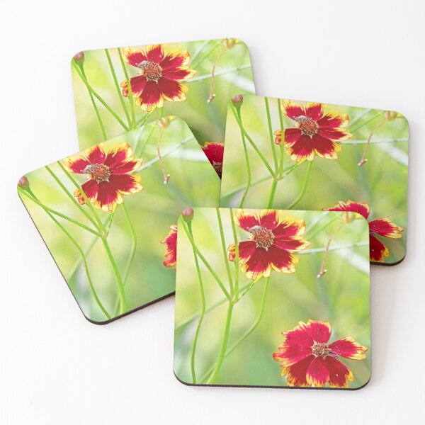 Item preview, Coreopsis Flowers designed and sold by AMacGPhilly.