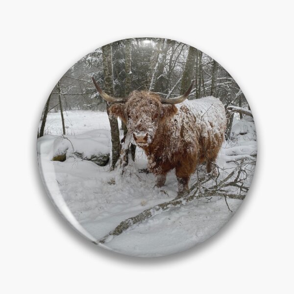 Item preview, Scottish Highland Cattle Cow in snow 3090 designed and sold by SaarelaHighland.