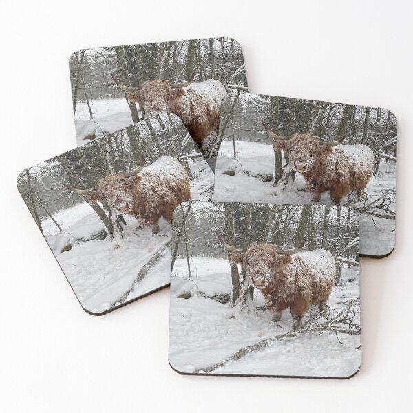 Item preview, Scottish Highland Cattle Cow in snow 3090 designed and sold by SaarelaHighland.