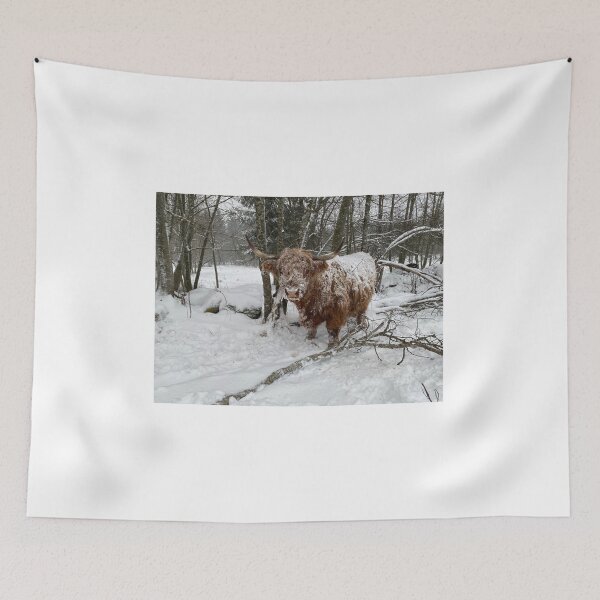 Item preview, Scottish Highland Cattle Cow in snow 3090 designed and sold by SaarelaHighland.