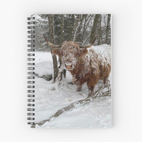 Item preview, Scottish Highland Cattle Cow in snow 3090 designed and sold by SaarelaHighland.
