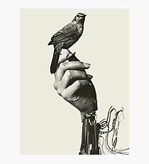 Westworld Bird Photographic Print
