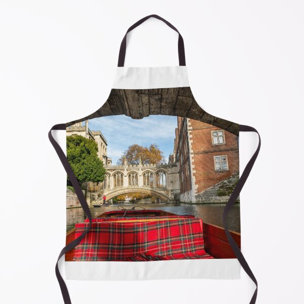 Item preview, Punt trip down the River Cam, Cambridge Backs designed and sold by yackers1.