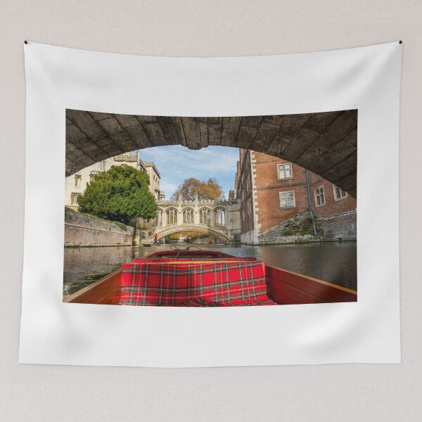 Item preview, Punt trip down the River Cam, Cambridge Backs designed and sold by yackers1.