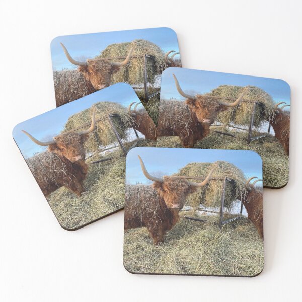 Artikelvorschau, Scottish Highland Cattle Cow 3096 entworfen und verkauft von SaarelaHighland.