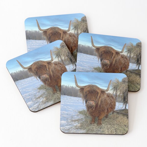 Item preview, Scottish Highland Cattle Cow 3097 designed and sold by SaarelaHighland.