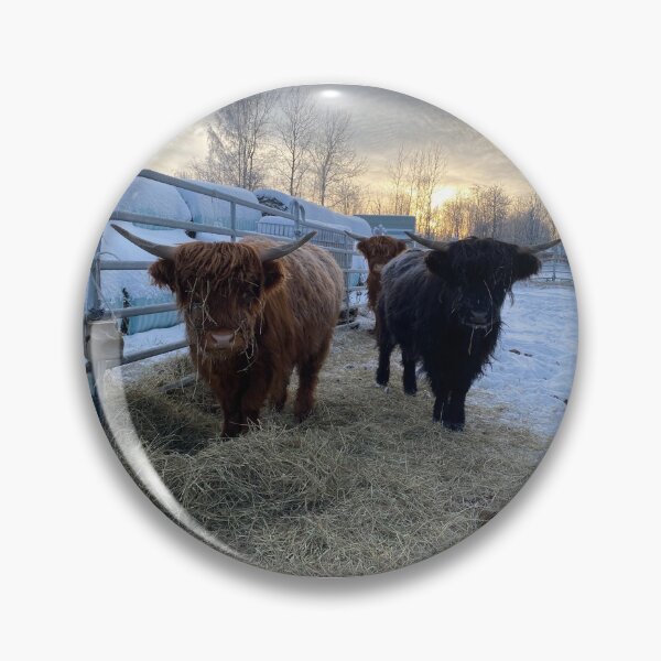 Artikelvorschau, Scottish Highland Cattle Calves 3098 entworfen und verkauft von SaarelaHighland.