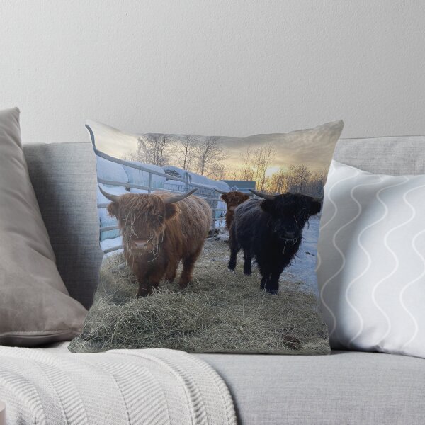 Artikelvorschau, Scottish Highland Cattle Calves 3098 entworfen und verkauft von SaarelaHighland.