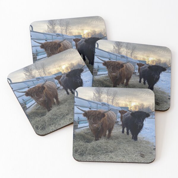 Item preview, Scottish Highland Cattle Calves 3098 designed and sold by SaarelaHighland.