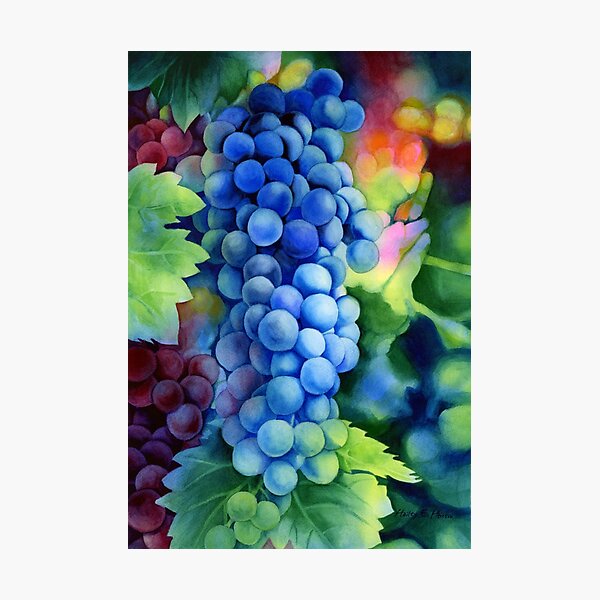 Item preview, Sunlit Grapes designed and sold by haileyherrera.