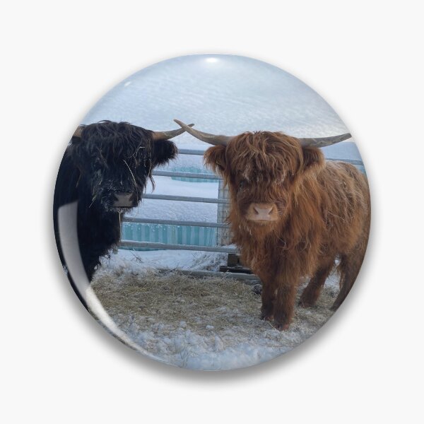 Artikelvorschau, Scottish Highland Cattle Calves 3100 entworfen und verkauft von SaarelaHighland.