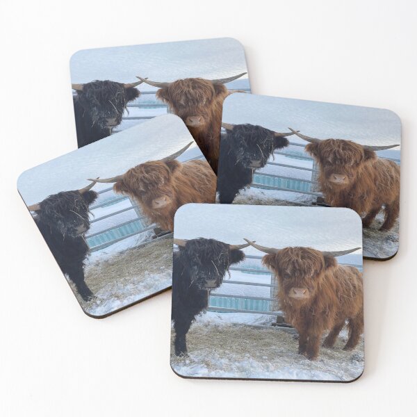 Item preview, Scottish Highland Cattle Calves 3100 designed and sold by SaarelaHighland.