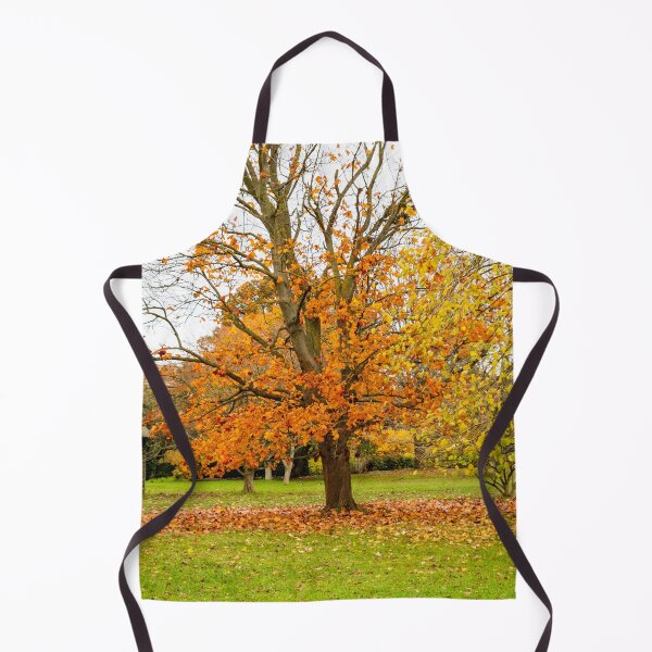 Item preview, Tree with golden leaves  in a green space in autumn, Cambridge designed and sold by yackers1.