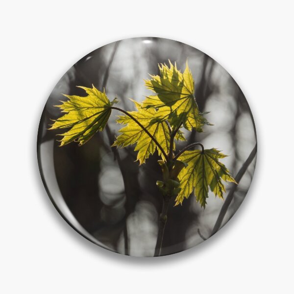 Item preview, Green Spring - First Leaves in the Forest designed and sold by Georgia Mizuleva.