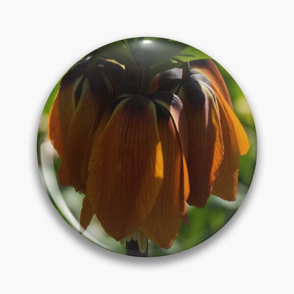 Artikelvorschau, Lebendige, auffällige orange Kaiserkrone Blume entworfen und verkauft von Georgia Mizuleva.