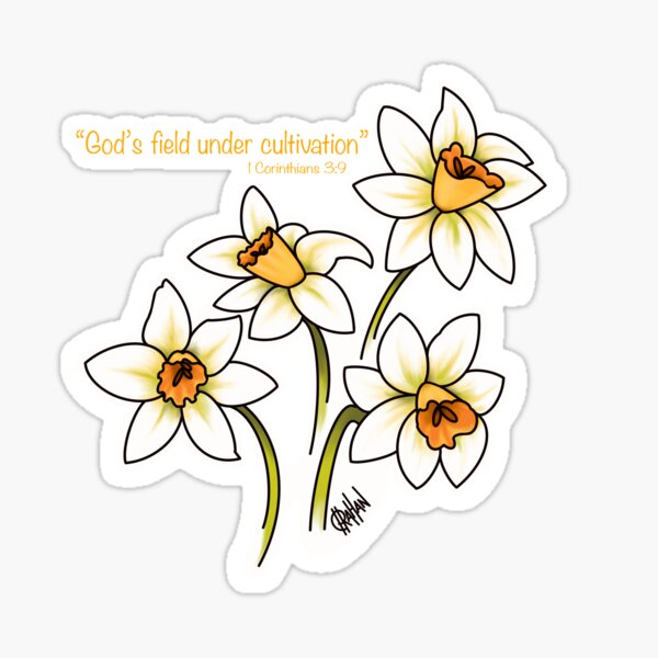 Daffodils with Scripture 1 Corinthians 3:9 Sticker