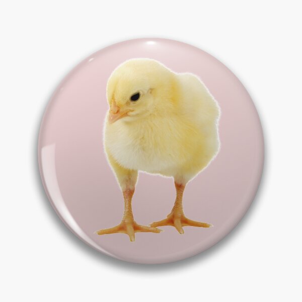 Item preview, Yellow chick on a white or colors background.  designed and sold by Photorebelle.