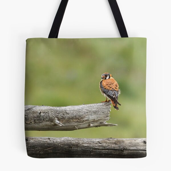 Item preview, Kestrel On A Montana Fence Pole designed and sold by Thomasyoung.