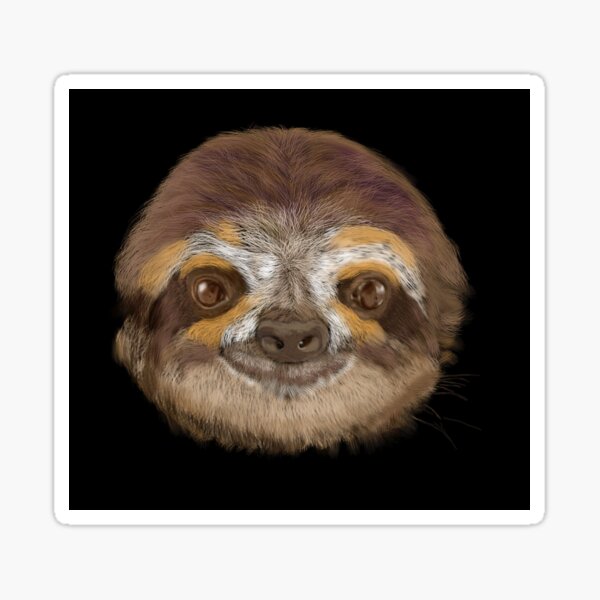 Cutie Pie Sloth, Smiling and Looking Good Sticker