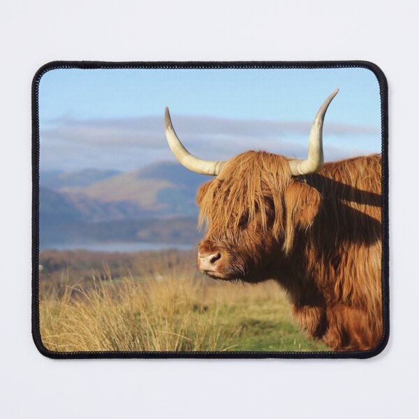 Item preview, Highland Cow on the Conic Hill Loch Lomond  designed and sold by Simply The West Prints.