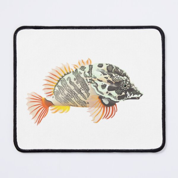 Item preview, Grunt Sculpin (Rhamphocottus richardsonii) designed and sold by SeaMonstress.